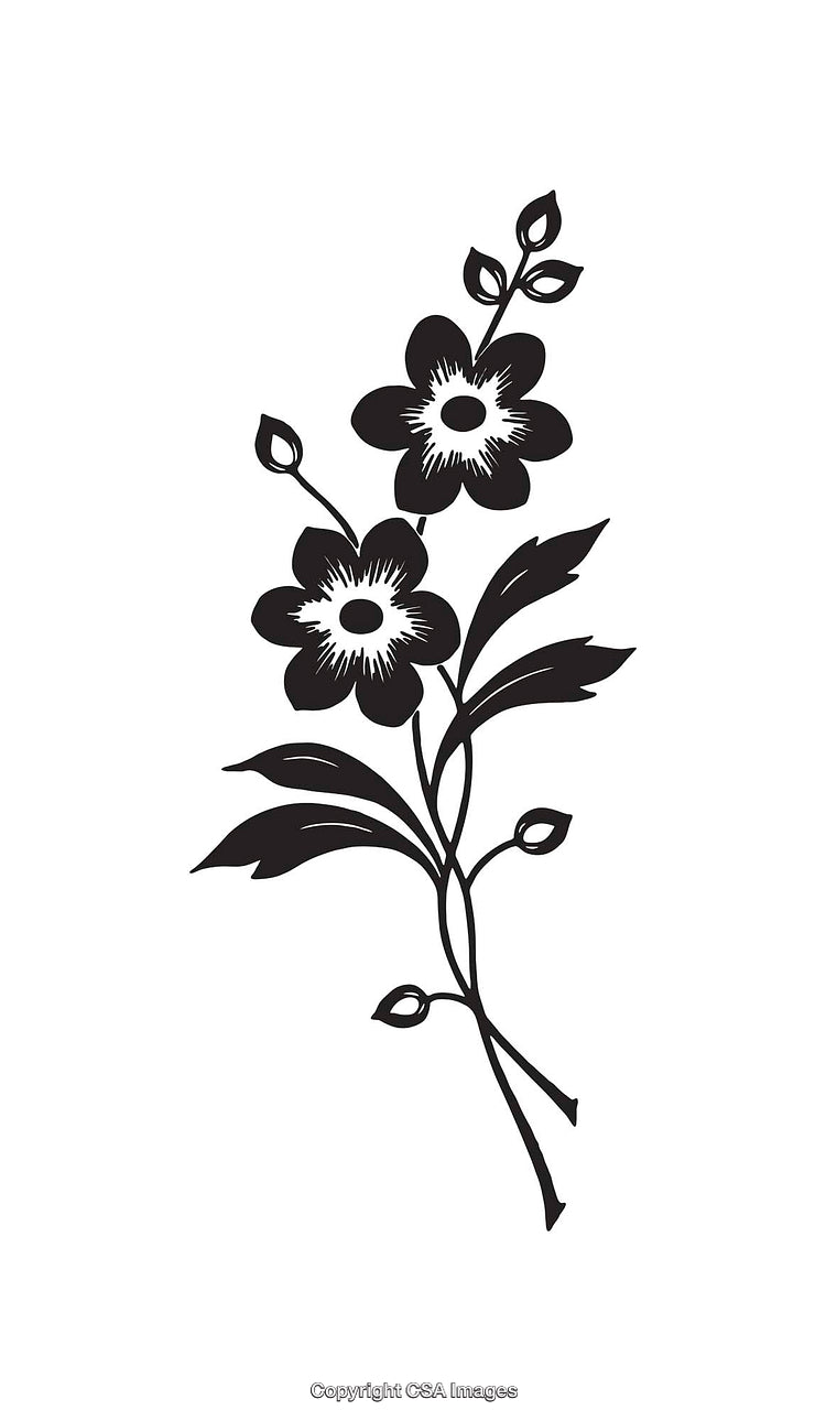 Elegant Black and White Line Art Floral Illustration with Delicate Petals
