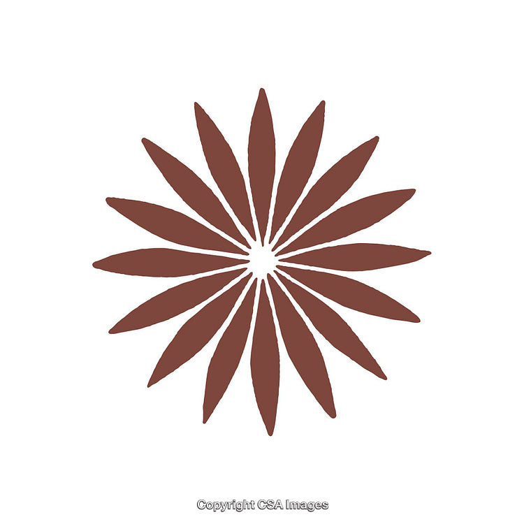 Abstract Brown Mandala Shape with Symmetrical Petals on White Background