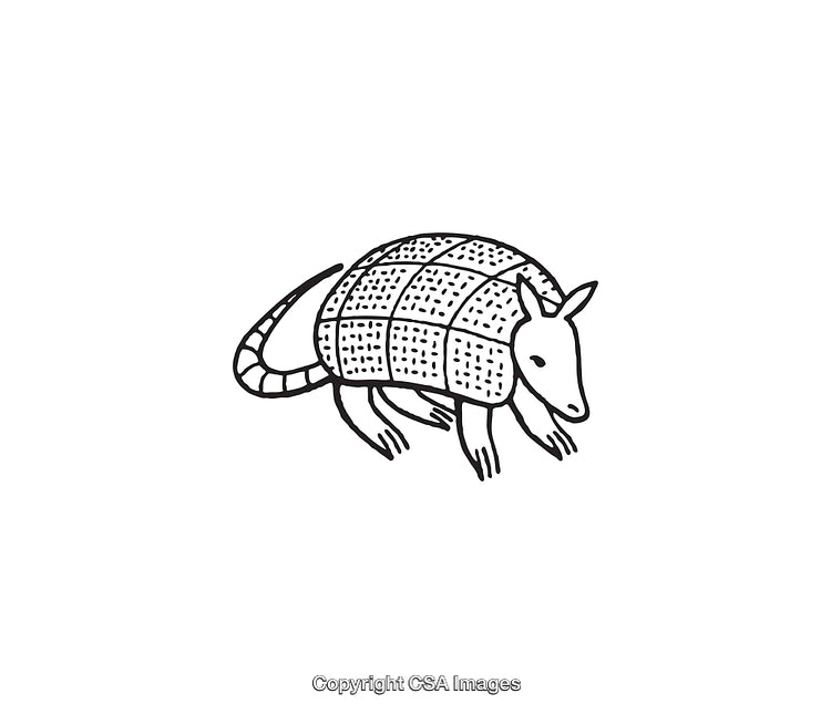 Black and White Line Art Illustration of a Cute Armadillo Sketch