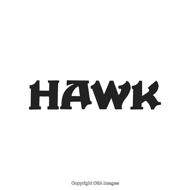Bold Black Hawk Text in Dynamic Typeface on White Background