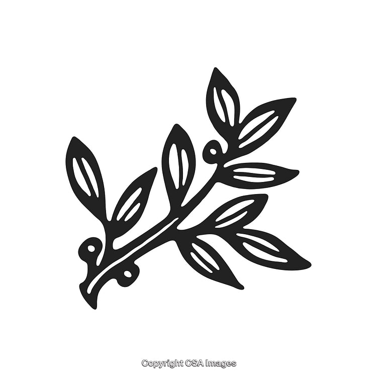 Black and White Decorative Branch Illustration For Design Use