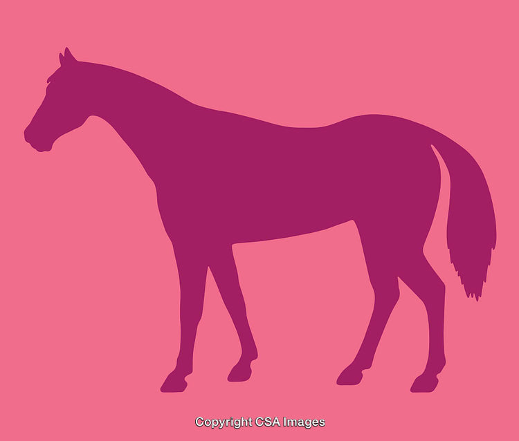 Bold Horse Silhouette Illustration on Vibrant Pink Background