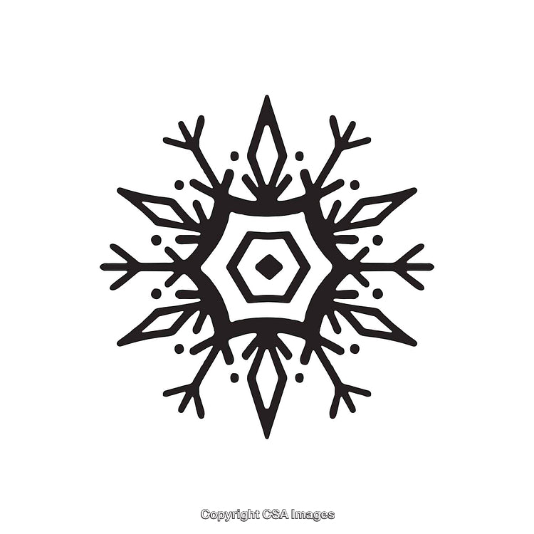Decorative Black and White Snowflake Illustration with Intricate Patterns