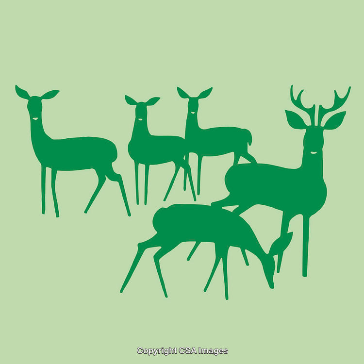 Stylized Deer Illustrations on Light Green Background