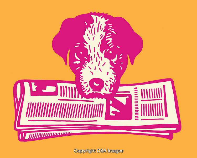 Colorful Illustration of a Puppy Holding a Newspaper in Its Mouth