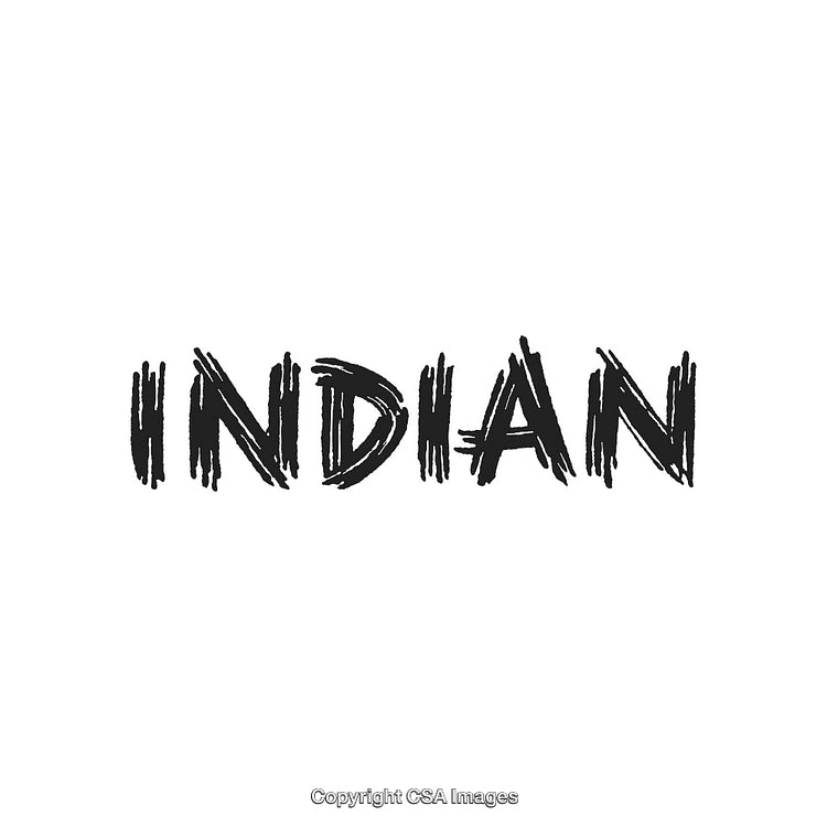 Boldly Styled Black Brushstroke Text Displaying the Word Indian on White Background