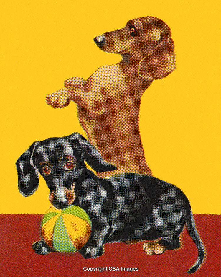 Artistic Illustration of Two Dachshund Dogs with Colorful Ball and Yellow Background