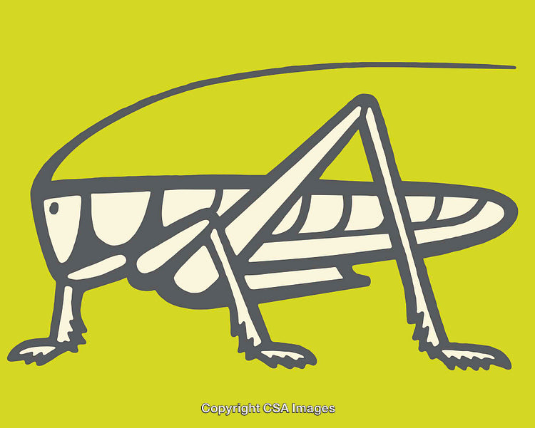 Stylized Grasshopper Illustration in Modern Line Art Design on Bright Green Background