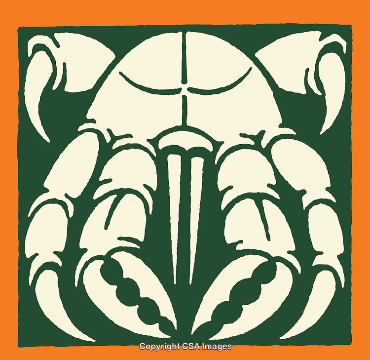 Crab Illustration in Bold Colors with Decorative Style and Outlined Design