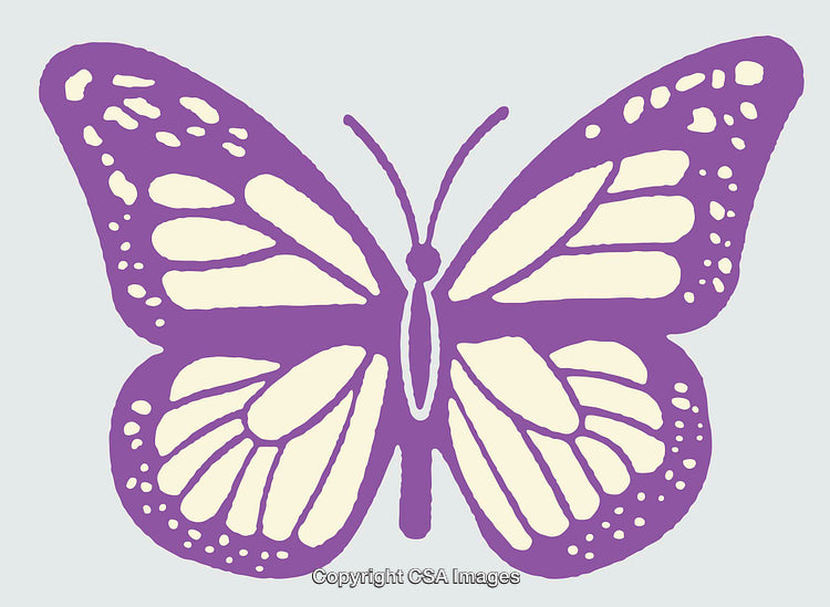 Vibrant Purple Butterfly Line Art Illustration on Light Background