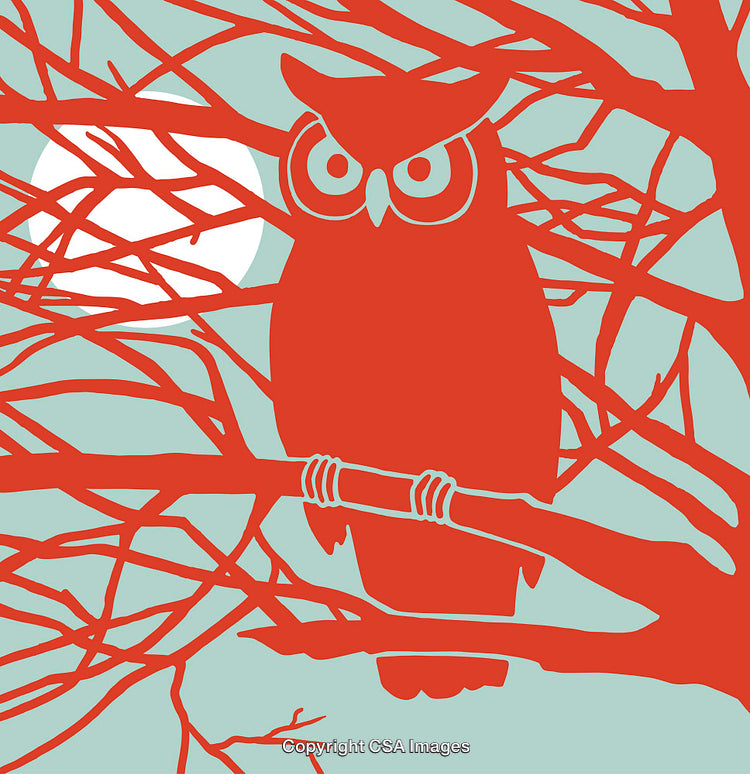 Silhouetted Owl Sitting on Branch Against Full Moon Background