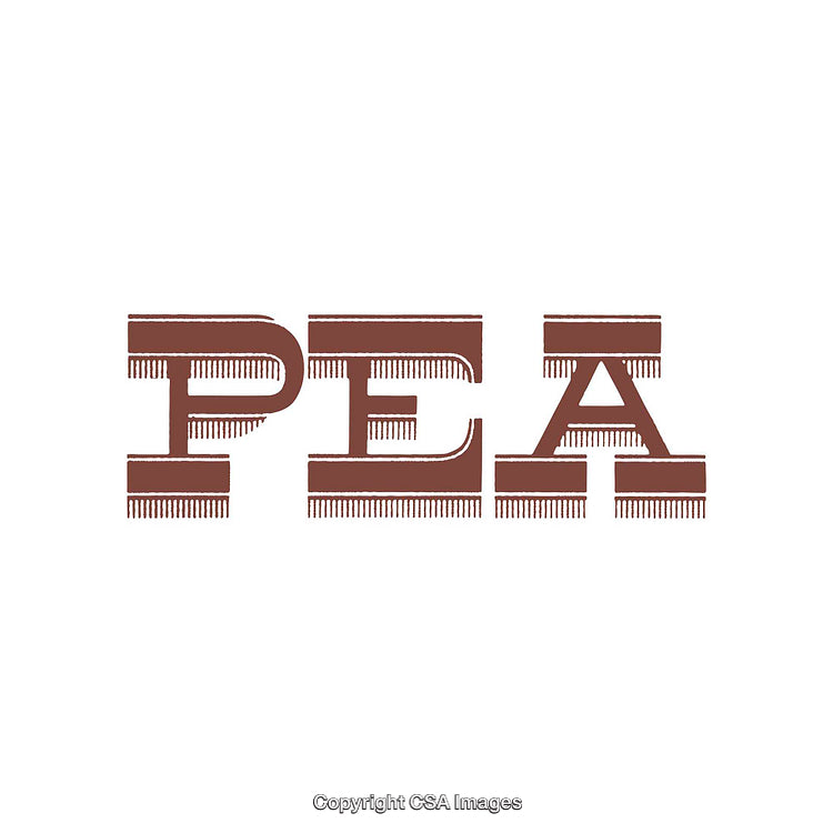 Decorative Typography Design Featuring Bold Letters and Unique Patterns