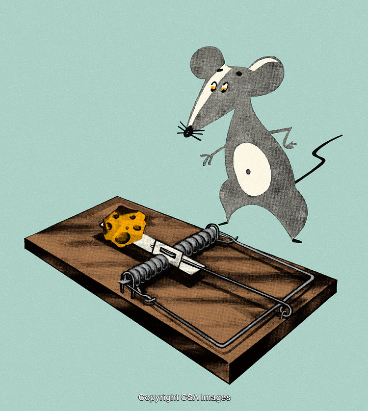 Curious Cartoon Mouse Approaching Cheese in a Traditional Wooden Mousetrap