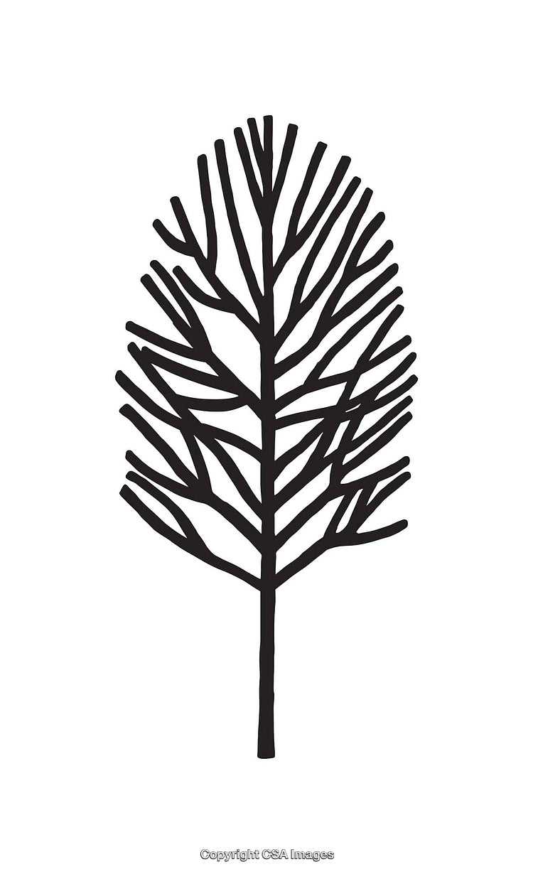 Abstract Black And White Line Art Depicting Simplistic Tree Illustration
