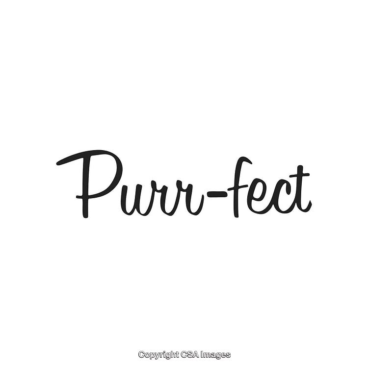 Elegant Handwritten Typography Featuring the Whimsical Word Purr-Fect on White Background
