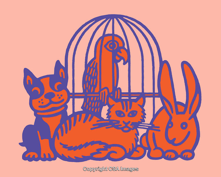 Colorful Illustration of Domestic Pets in a Bold Artistic Design