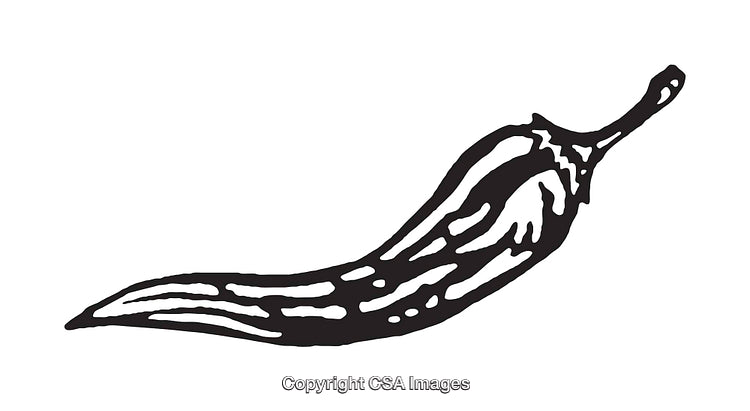 Black and White Line Art Illustration of a Chili Pepper