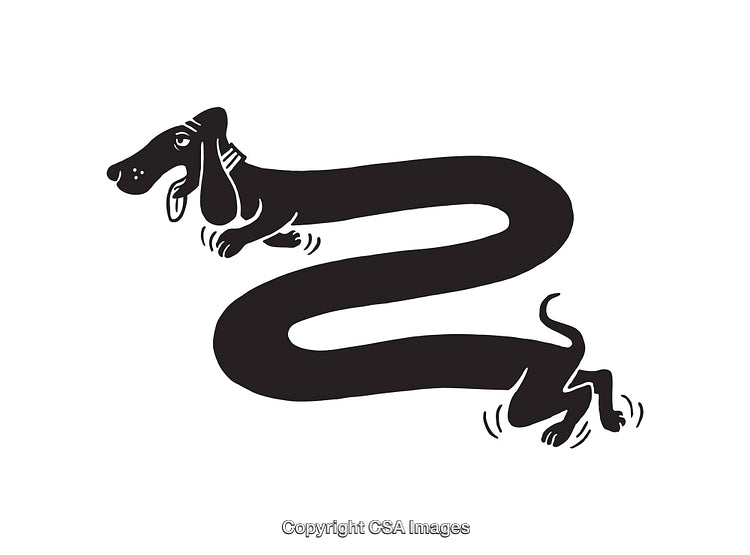 Creative Line Art Illustration of a Playful Stretching Dog