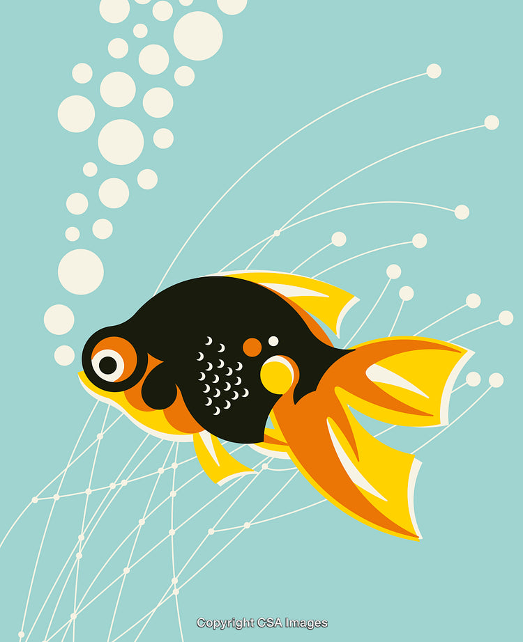 Abstract Art of a Goldfish with Bubbles on a Blue Background
