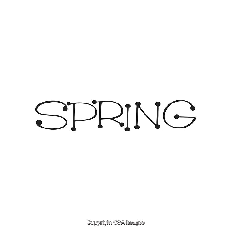 Stylish Typography Design Featuring the Word 'Spring' on White Background