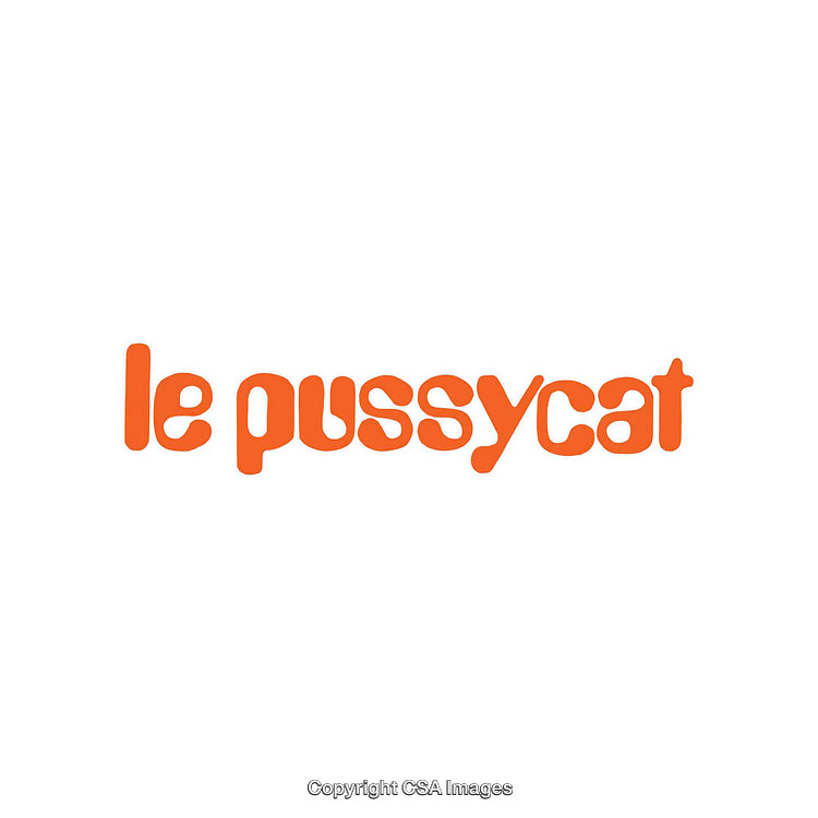 Bold Text Logo with Fun Retro Typeface in Orange