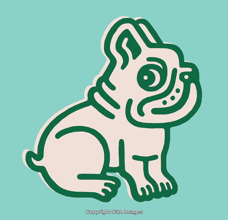 Illustration of Sitting Bulldog in Vibrant Line Art Style on Aqua Background