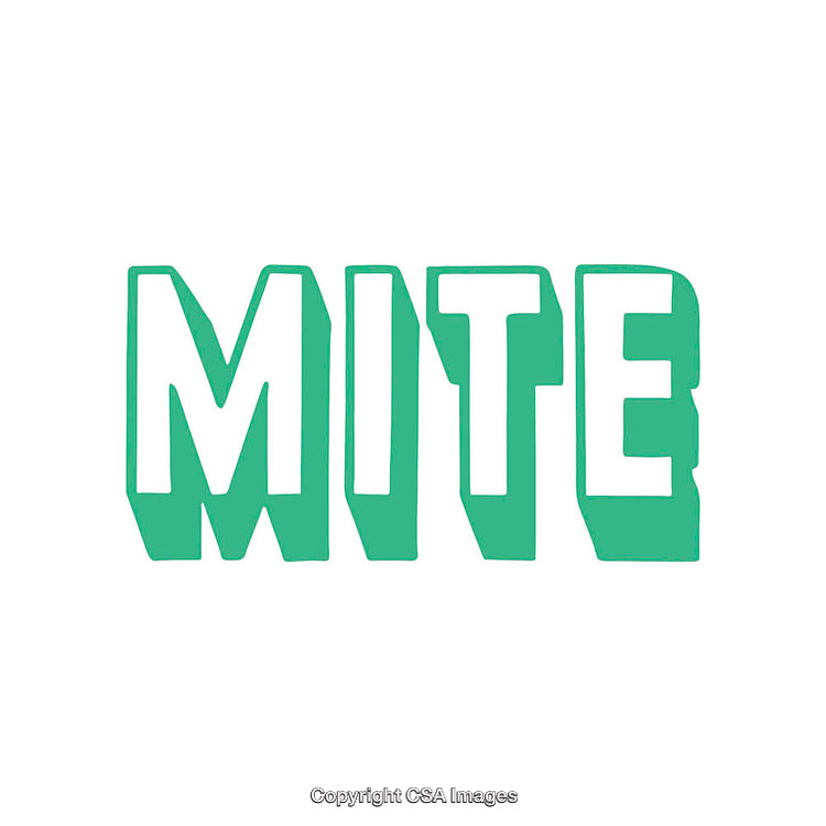 Bold Green Word 'Mite' with Unique Typography on White Background