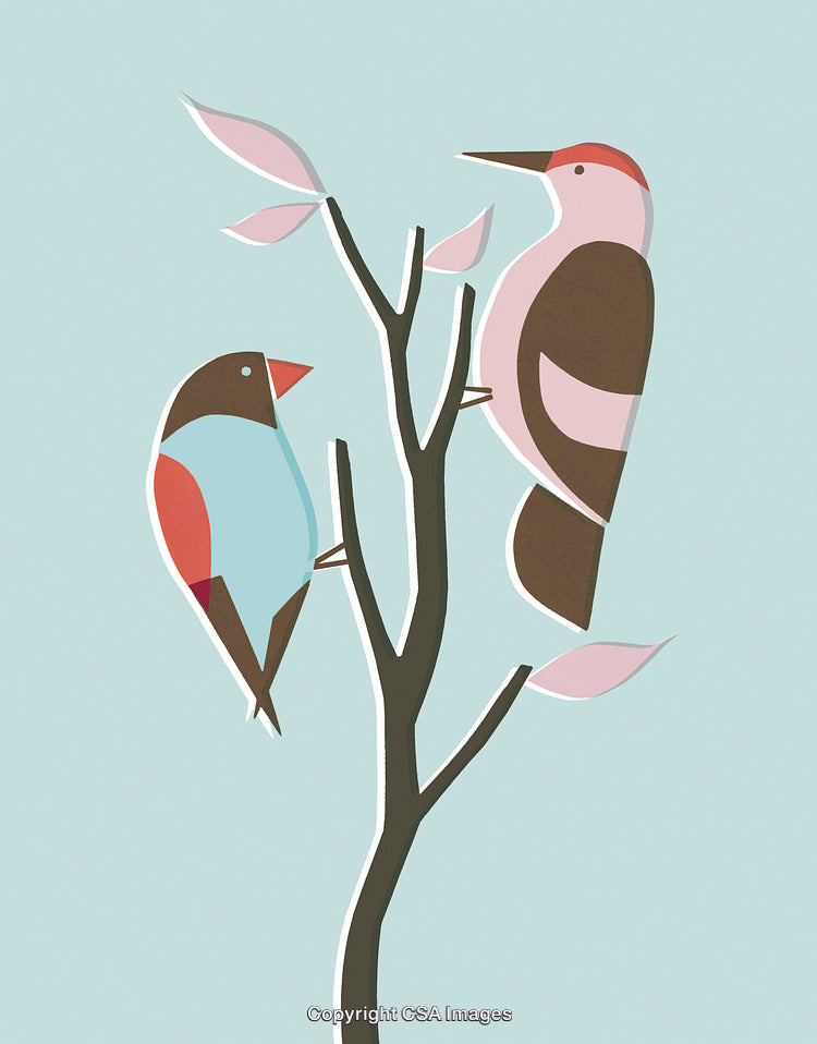 Colorful Birds Sitting on Tree in Minimalist Nature Illustration