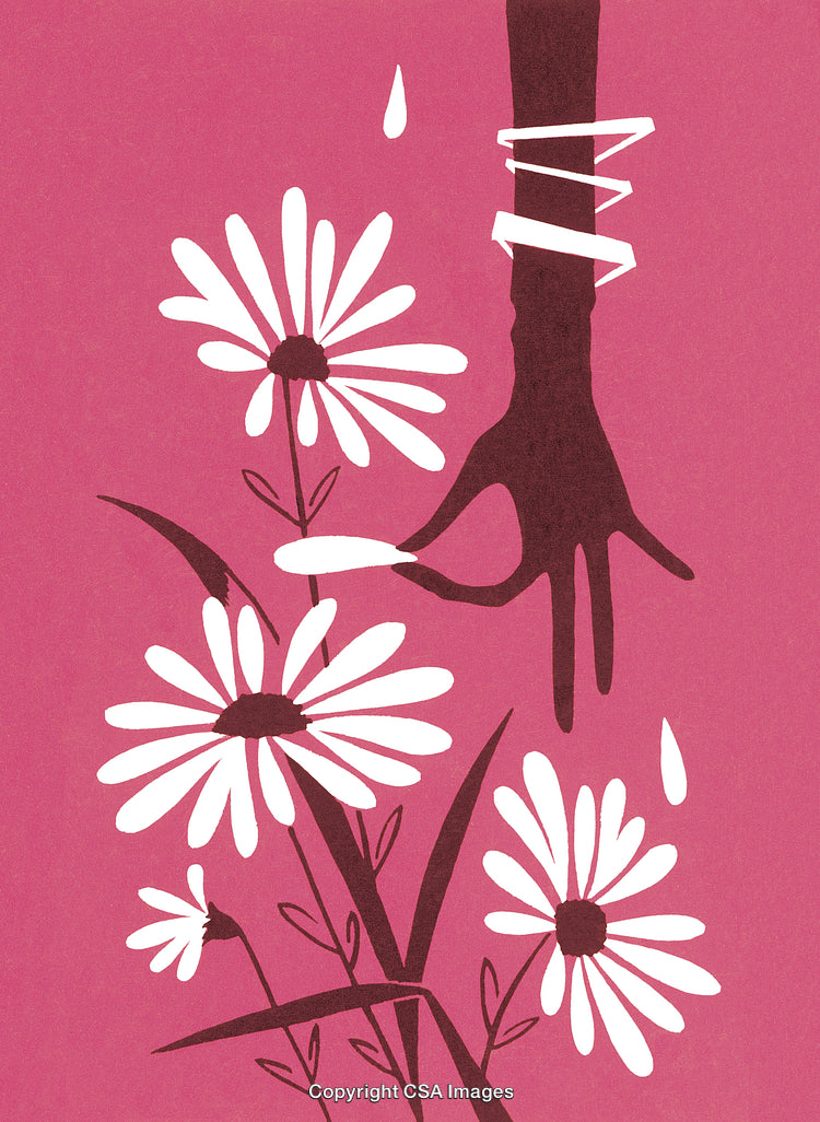Hand Picking Petals from Flowers