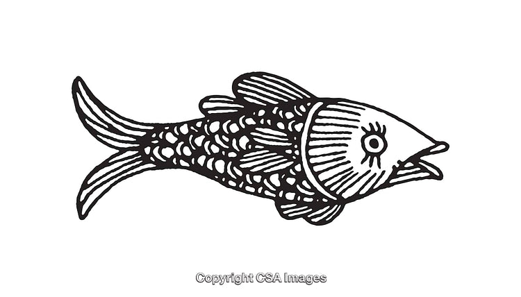 Black and White Line Art Illustration of a Decorative Fish Design