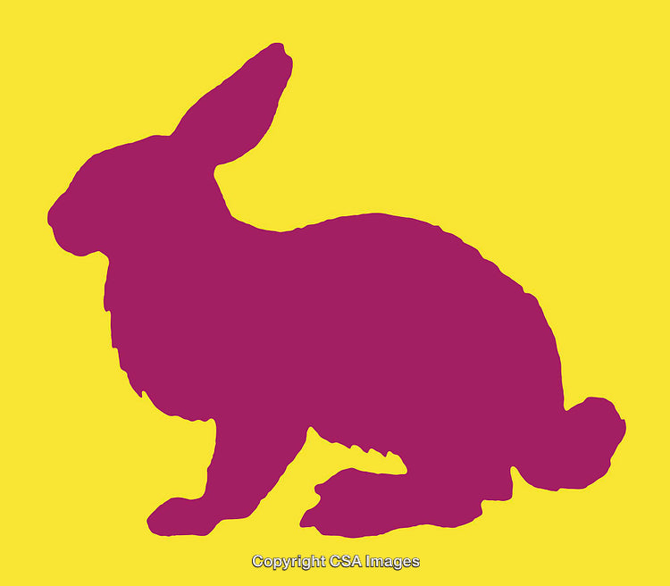 Pink Rabbit Silhouette Illustration on a Bright Yellow Background