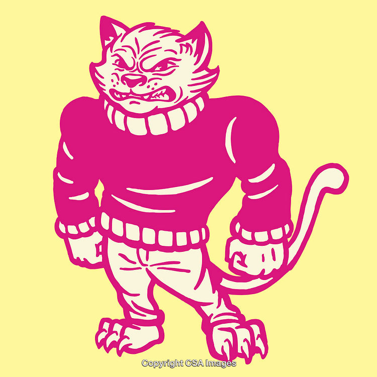 Colorful Illustration of a Stylish Anthropomorphic Cat with a Bold Expression
