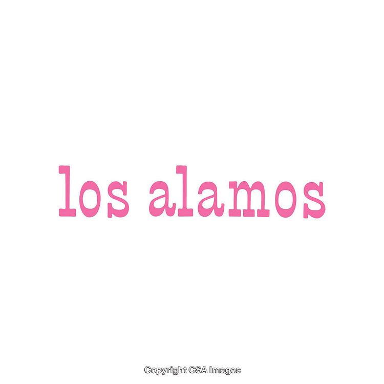Minimalist Typography Artwork Featuring 'Los Alamos' in Bold Pink Text