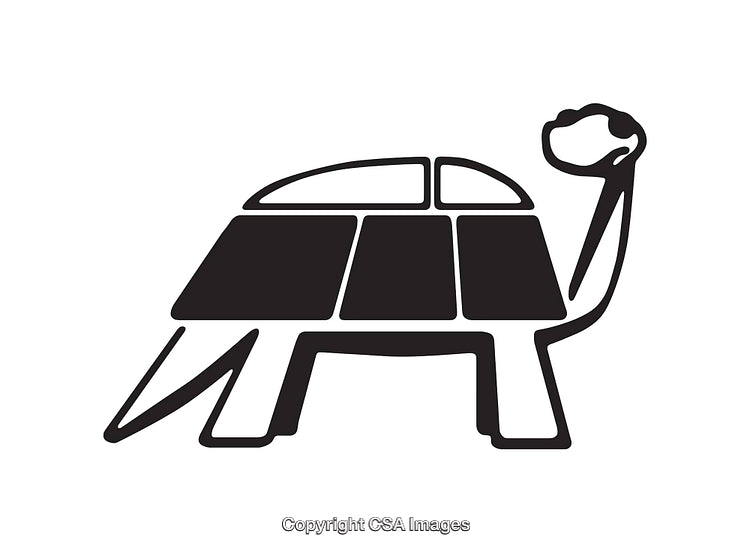 Abstract Black and White Line Art of a Stylized Turtle
