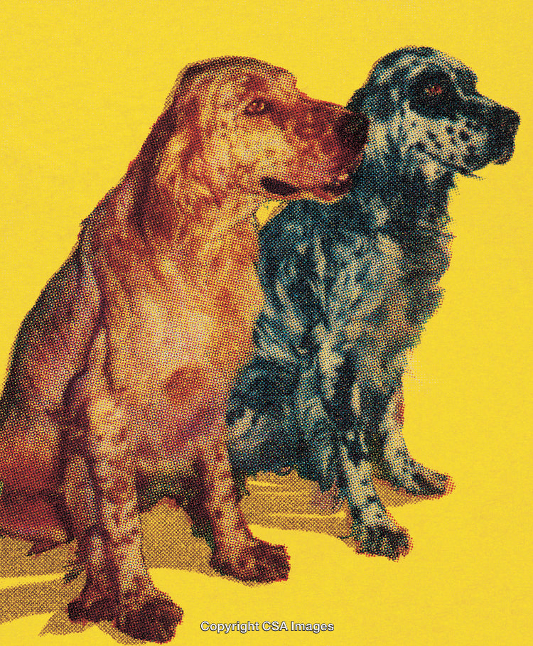 Vivid Pop Art Style Image of Two Dogs on Yellow Background