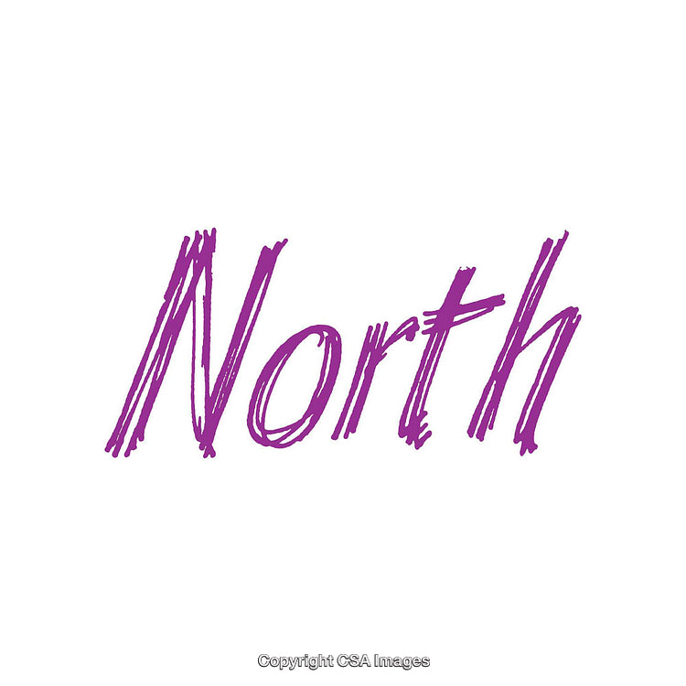 Purple Scribbled Text Depicting the Word 'North' in Stylish Font