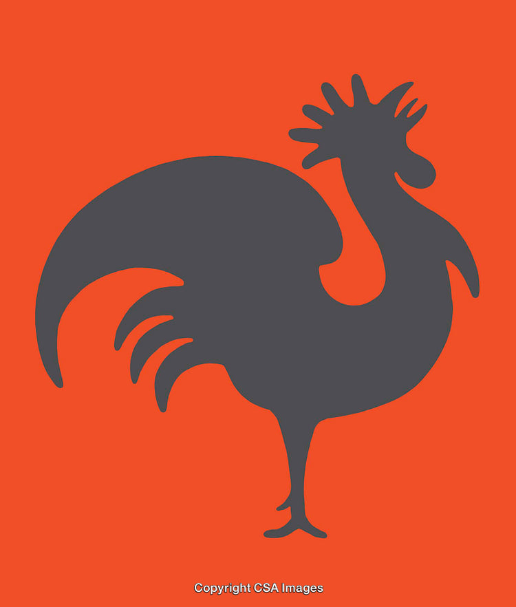 Illustration of a Rooster Silhouette on a Red Background