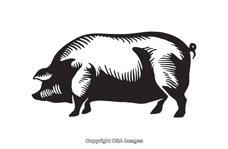 Black and White Illustration of a Standing Pig Silhouette