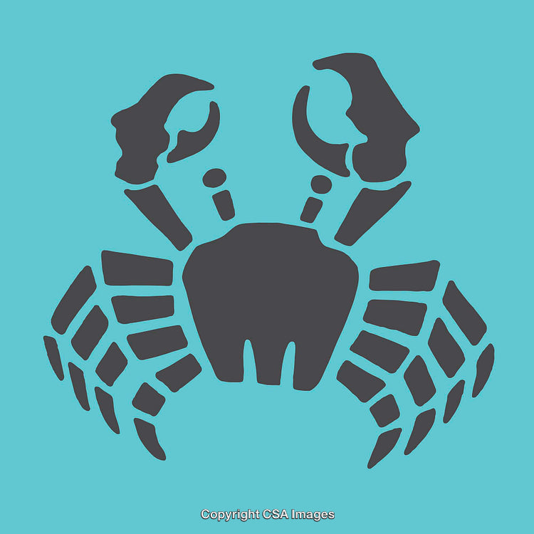 Stylized Crab Icon Illustration in Black on Blue Background