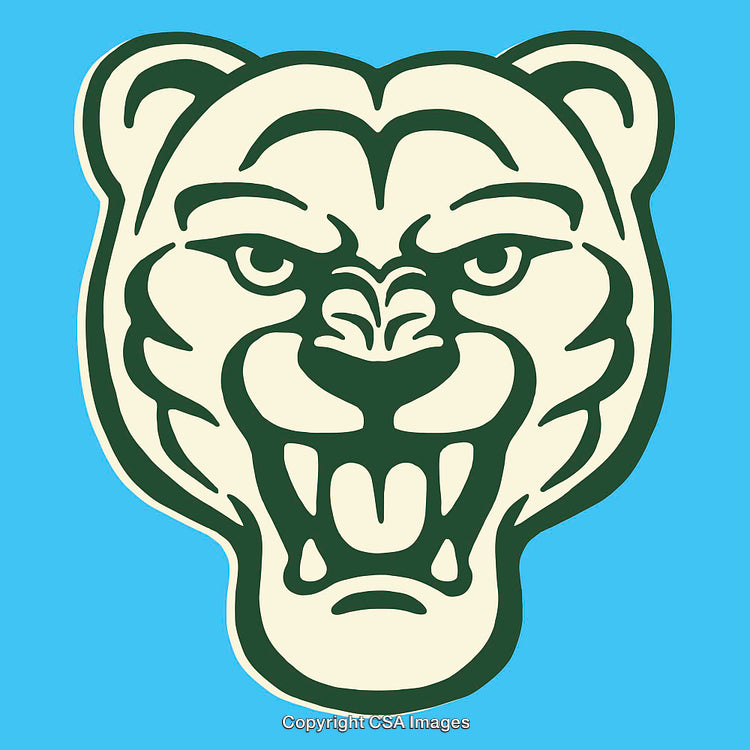 Vivid Line Art Illustration of a Fierce Bear Face