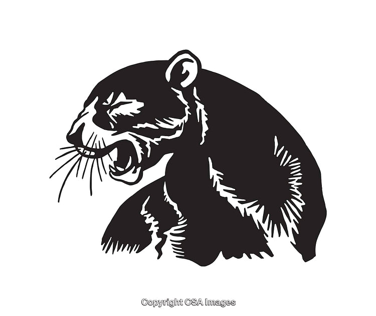 Black and White Illustration of a Roaring Panther in Mid Profile