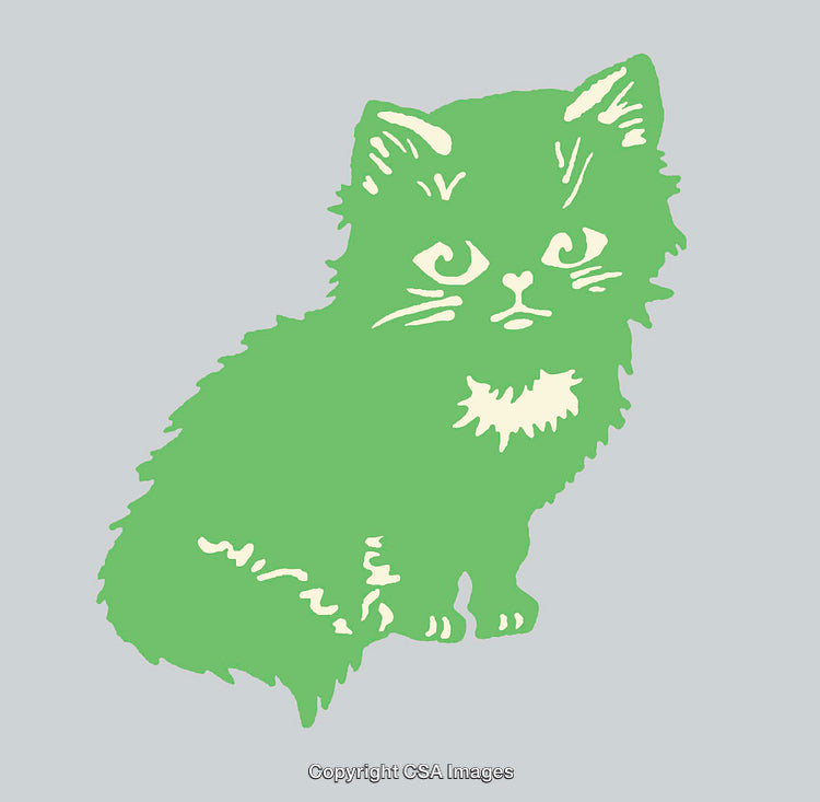 Colorful Line Art Illustration of a Cute Kitty on a Plain Background