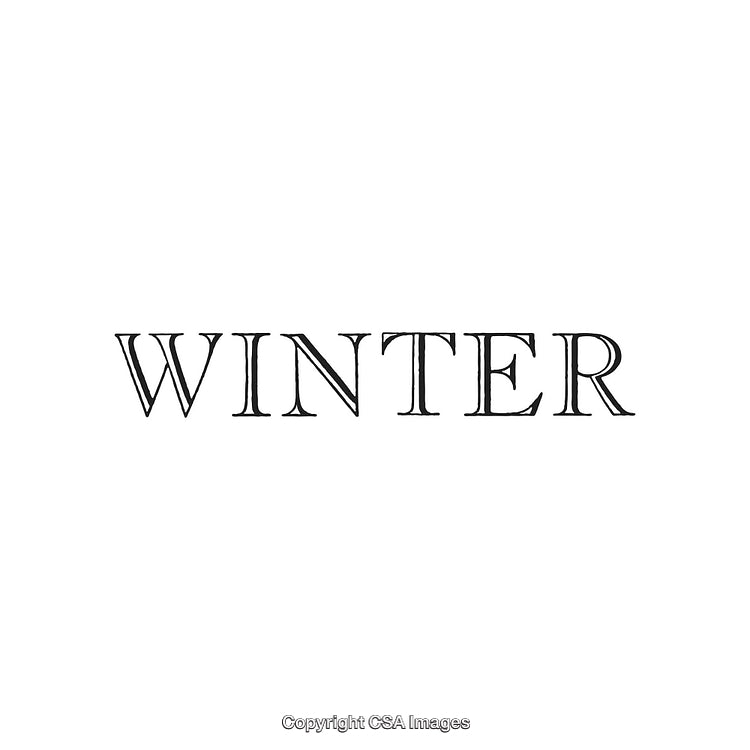 Elegant Black Typography Displaying the Word Winter on White Background