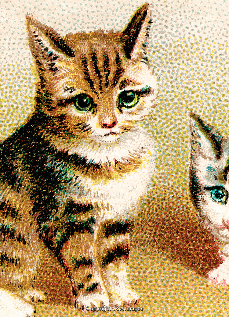 Vintage Color Illustration of Adorable Tabby Kittens