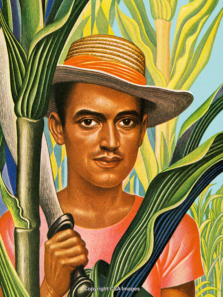 Portrait of a Farmer Holding a Tool in a Vibrant Field of Crops