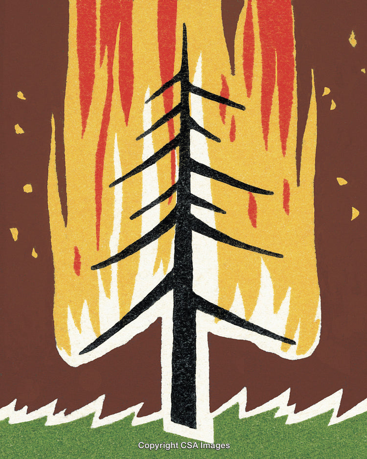 Burning Tree