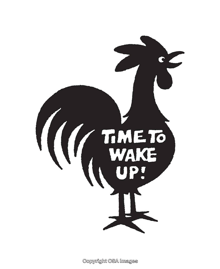 Black and White Rooster Illustration with 'Time to Wake Up' Text Art
