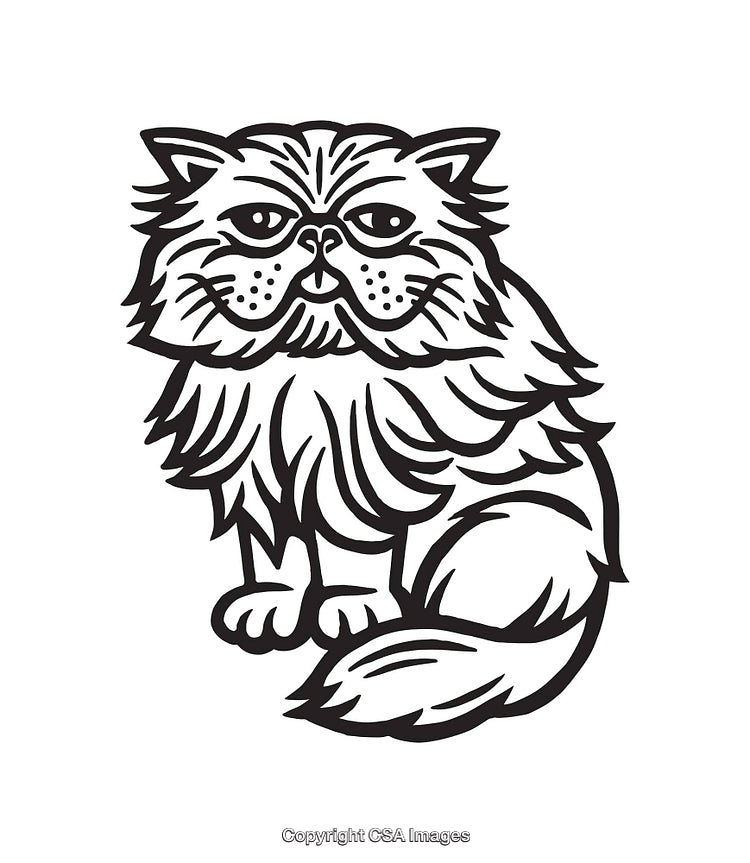 Black and White Line Art Illustration of a Fluffy Cat