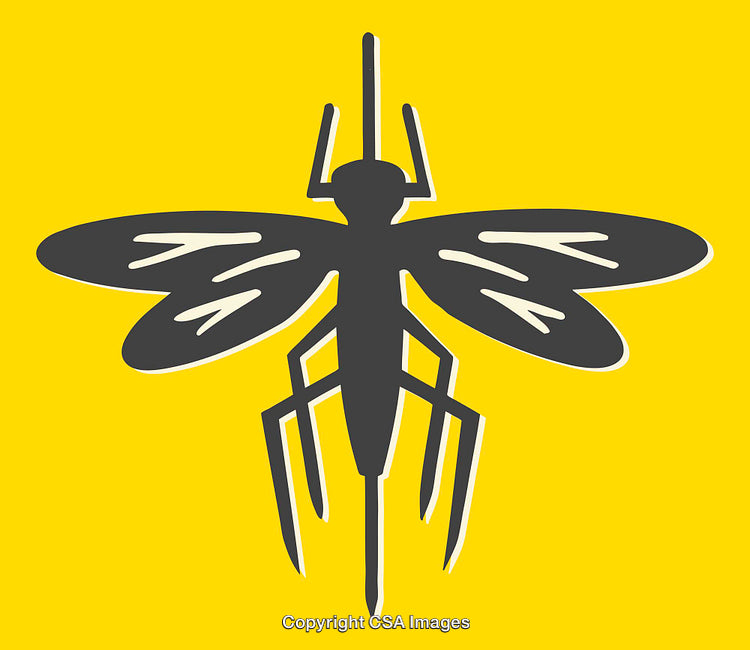 Gray Mosquito Vector Illustration on Yellow Background with Minimalistic Design