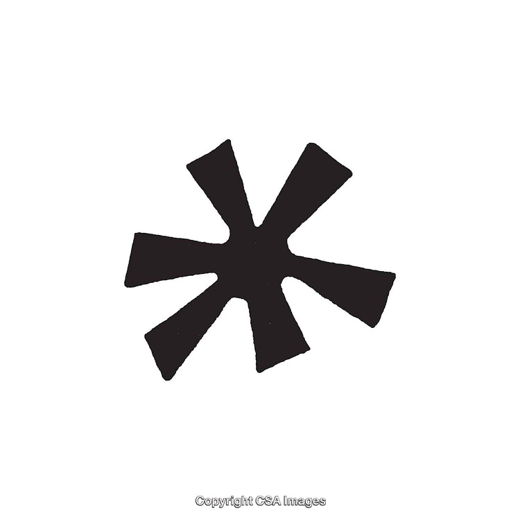 Bold Black Abstract Dingbat Shape on White Background